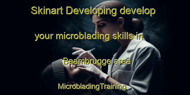 Skinart Developing develop your microblading skills in Baambrugge area | MicrobladingTraining | MicrobladingClasses | SkinartTraining-Netherlands