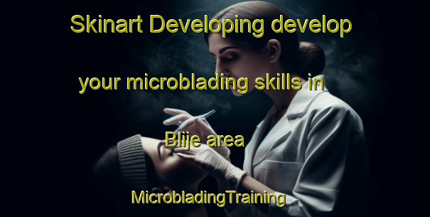 Skinart Developing develop your microblading skills in Blije area | MicrobladingTraining | MicrobladingClasses | SkinartTraining-Netherlands