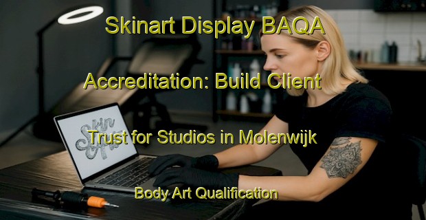 Skinart Display BAQA Accreditation: Build Client Trust for Studios in Molenwijk | Body Art Qualification Authority | BAQA-Netherlands