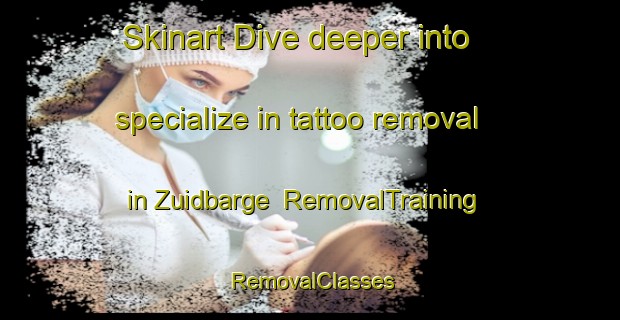 Skinart Dive deeper into specialize in tattoo removal in Zuidbarge | RemovalTraining | RemovalClasses | SkinartTraining-Netherlands