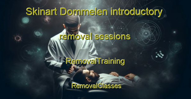 Skinart Dommelen introductory removal sessions | RemovalTraining | RemovalClasses | SkinartTraining-Netherlands