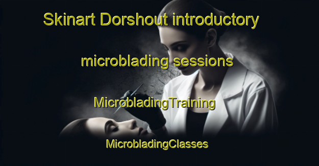 Skinart Dorshout introductory microblading sessions | MicrobladingTraining | MicrobladingClasses | SkinartTraining-Netherlands
