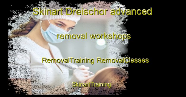 Skinart Dreischor advanced removal workshops | #RemovalTraining #RemovalClasses #SkinartTraining-Netherlands