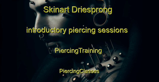 Skinart Driesprong introductory piercing sessions | #PiercingTraining #PiercingClasses #SkinartTraining-Netherlands