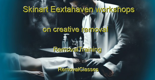 Skinart Eextahaven workshops on creative removal | RemovalTraining | RemovalClasses | SkinartTraining-Netherlands