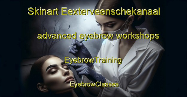 Skinart Eexterveenschekanaal advanced eyebrow workshops | EyebrowTraining | EyebrowClasses | SkinartTraining-Netherlands