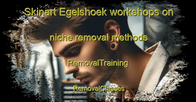 Skinart Egelshoek workshops on niche removal methods | RemovalTraining | RemovalClasses | SkinartTraining-Netherlands