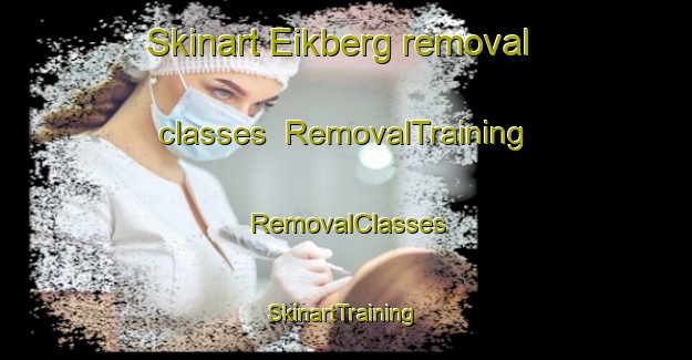 Skinart Eikberg removal classes | RemovalTraining | RemovalClasses | SkinartTraining-Netherlands