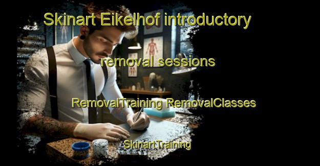 Skinart Eikelhof introductory removal sessions | #RemovalTraining #RemovalClasses #SkinartTraining-Netherlands