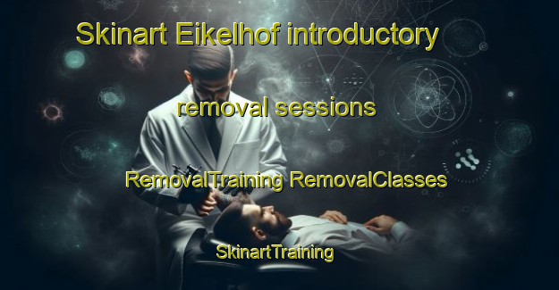 Skinart Eikelhof introductory removal sessions | #RemovalTraining #RemovalClasses #SkinartTraining-Netherlands