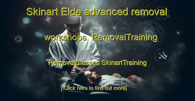 Skinart Elde advanced removal workshops | #RemovalTraining #RemovalClasses #SkinartTraining-Netherlands