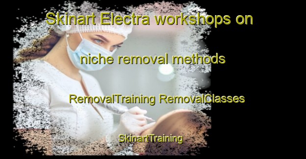 Skinart Electra workshops on niche removal methods | #RemovalTraining #RemovalClasses #SkinartTraining-Netherlands