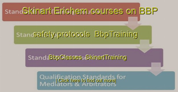 Skinart Erichem courses on BBP safety protocols | BbpTraining | BbpClasses | SkinartTraining-Netherlands