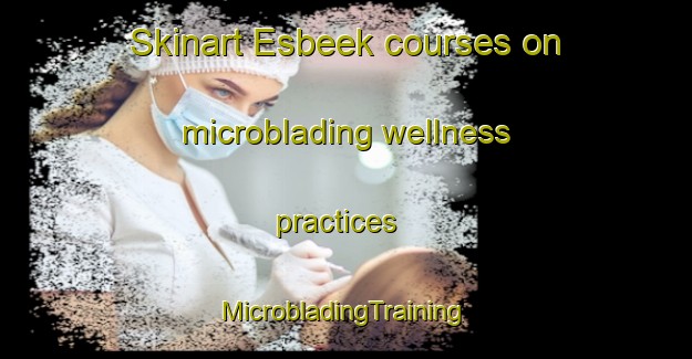 Skinart Esbeek courses on microblading wellness practices | #MicrobladingTraining #MicrobladingClasses #SkinartTraining-Netherlands