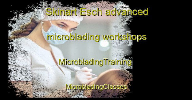 Skinart Esch advanced microblading workshops | #MicrobladingTraining #MicrobladingClasses #SkinartTraining-Netherlands