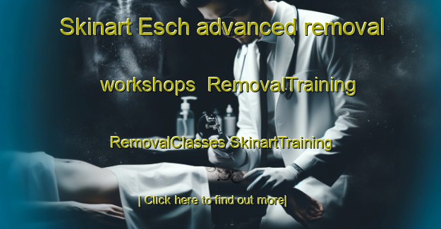 Skinart Esch advanced removal workshops | #RemovalTraining #RemovalClasses #SkinartTraining-Netherlands