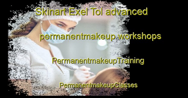 Skinart Exel Tol advanced permanentmakeup workshops | #PermanentmakeupTraining #PermanentmakeupClasses #SkinartTraining-Netherlands