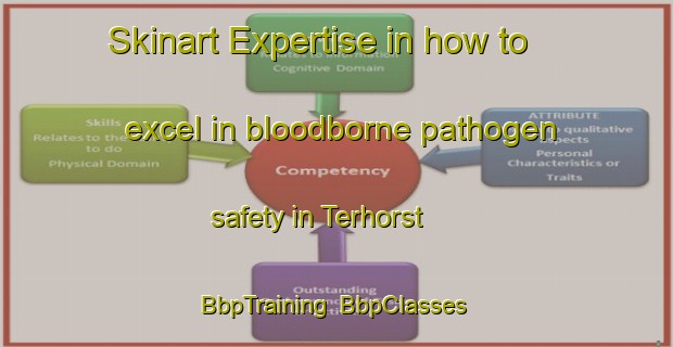 Skinart Expertise in how to excel in bloodborne pathogen safety in Terhorst | BbpTraining | BbpClasses | SkinartTraining-Netherlands