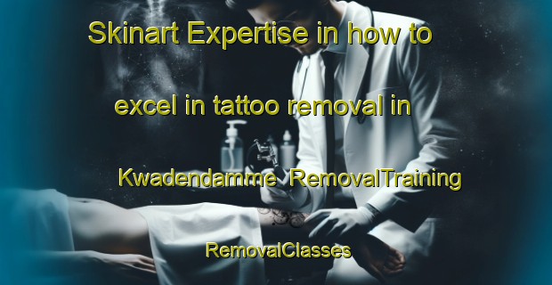 Skinart Expertise in how to excel in tattoo removal in Kwadendamme | RemovalTraining | RemovalClasses | SkinartTraining-Netherlands