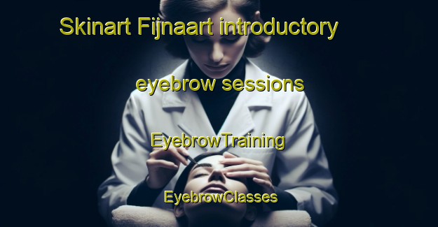 Skinart Fijnaart introductory eyebrow sessions | EyebrowTraining | EyebrowClasses | SkinartTraining-Netherlands