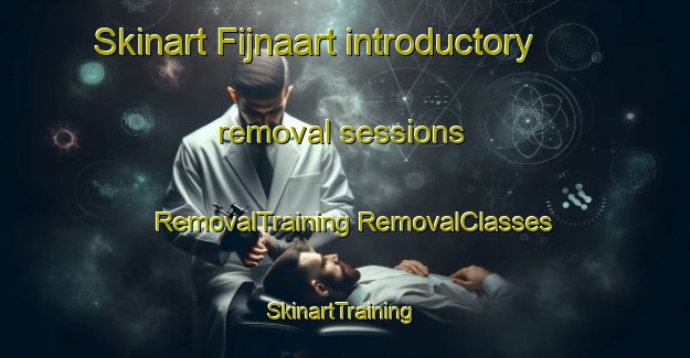 Skinart Fijnaart introductory removal sessions | #RemovalTraining #RemovalClasses #SkinartTraining-Netherlands