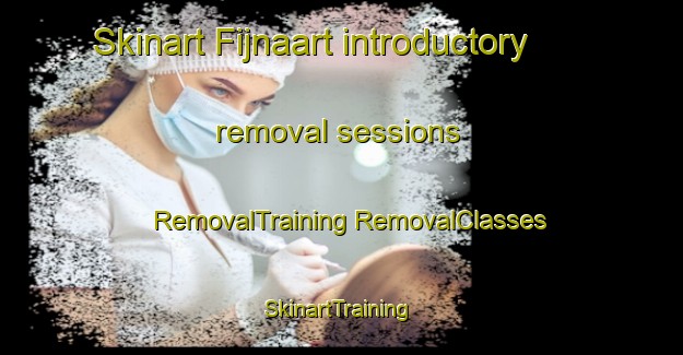 Skinart Fijnaart introductory removal sessions | #RemovalTraining #RemovalClasses #SkinartTraining-Netherlands