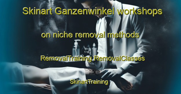 Skinart Ganzenwinkel workshops on niche removal methods | #RemovalTraining #RemovalClasses #SkinartTraining-Netherlands