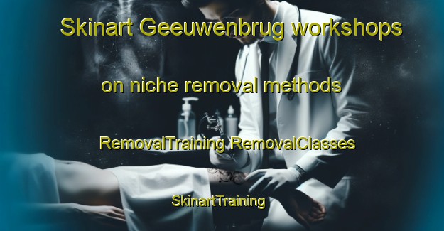 Skinart Geeuwenbrug workshops on niche removal methods | #RemovalTraining #RemovalClasses #SkinartTraining-Netherlands