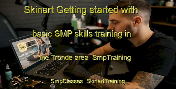 Skinart Getting started with basic SMP skills training in the Tronde area | SmpTraining | SmpClasses | SkinartTraining-Netherlands