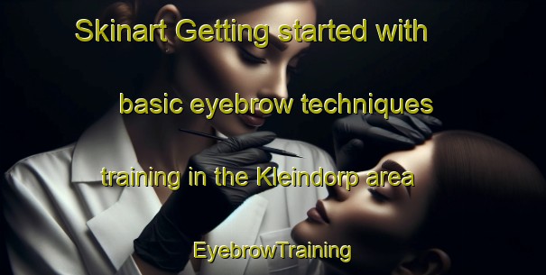 Skinart Getting started with basic eyebrow techniques training in the Kleindorp area | EyebrowTraining | EyebrowClasses | SkinartTraining-Netherlands