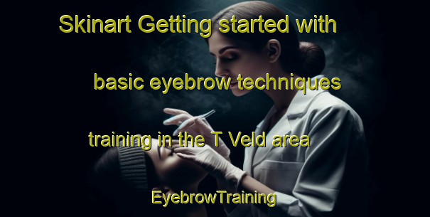 Skinart Getting started with basic eyebrow techniques training in the T Veld area | EyebrowTraining | EyebrowClasses | SkinartTraining-Netherlands
