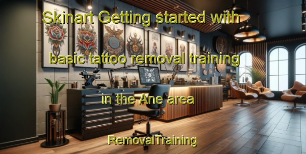 Skinart Getting started with basic tattoo removal training in the Ane area | RemovalTraining | RemovalClasses | SkinartTraining-Netherlands