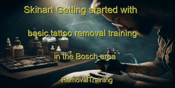 Skinart Getting started with basic tattoo removal training in the Bosch area | RemovalTraining | RemovalClasses | SkinartTraining-Netherlands