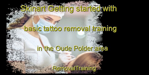 Skinart Getting started with basic tattoo removal training in the Oude Polder area | RemovalTraining | RemovalClasses | SkinartTraining-Netherlands