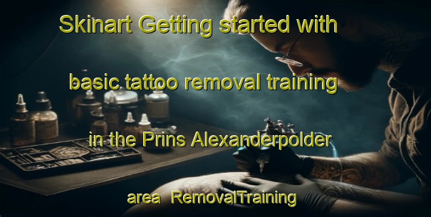 Skinart Getting started with basic tattoo removal training in the Prins Alexanderpolder area | RemovalTraining | RemovalClasses | SkinartTraining-Netherlands