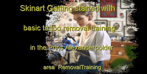 Skinart Getting started with basic tattoo removal training in the Prins Alexanderpolder area | RemovalTraining | RemovalClasses | SkinartTraining-Netherlands