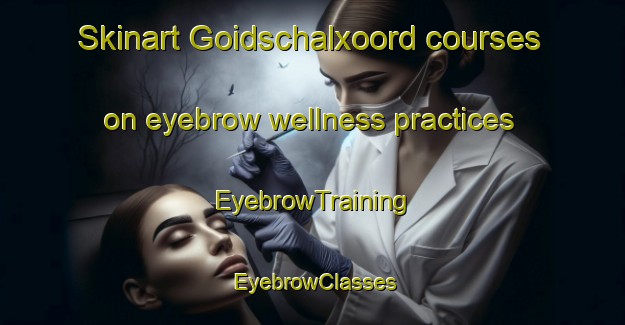 Skinart Goidschalxoord courses on eyebrow wellness practices | EyebrowTraining | EyebrowClasses | SkinartTraining-Netherlands