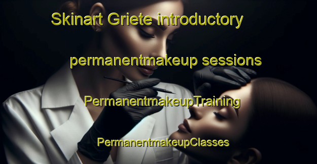 Skinart Griete introductory permanentmakeup sessions | PermanentmakeupTraining | PermanentmakeupClasses | SkinartTraining-Netherlands