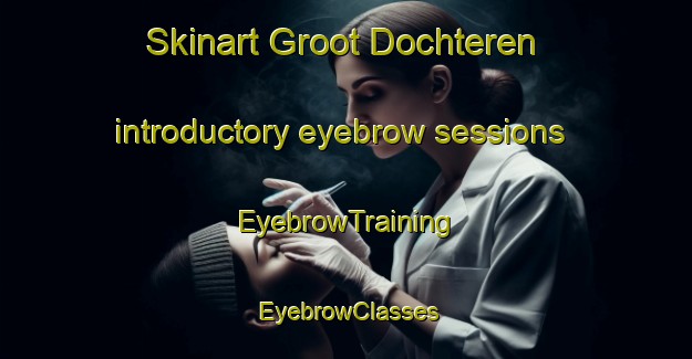 Skinart Groot Dochteren introductory eyebrow sessions | EyebrowTraining | EyebrowClasses | SkinartTraining-Netherlands