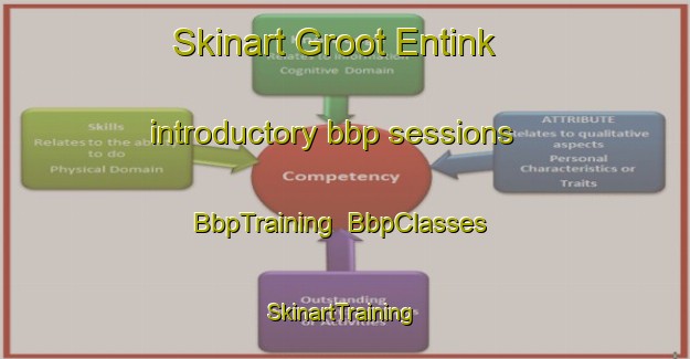 Skinart Groot Entink introductory bbp sessions | BbpTraining | BbpClasses | SkinartTraining-Netherlands