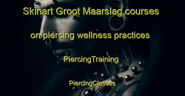 Skinart Groot Maarslag courses on piercing wellness practices | #PiercingTraining #PiercingClasses #SkinartTraining-Netherlands