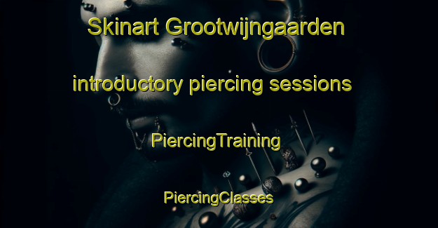 Skinart Grootwijngaarden introductory piercing sessions | #PiercingTraining #PiercingClasses #SkinartTraining-Netherlands