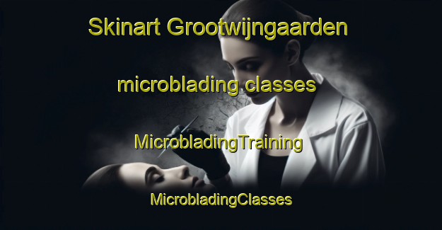 Skinart Grootwijngaarden microblading classes | #MicrobladingTraining #MicrobladingClasses #SkinartTraining-Netherlands