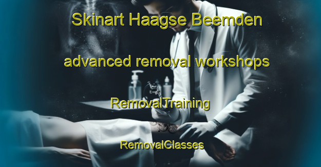 Skinart Haagse Beemden advanced removal workshops | RemovalTraining | RemovalClasses | SkinartTraining-Netherlands