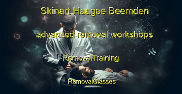 Skinart Haagse Beemden advanced removal workshops | RemovalTraining | RemovalClasses | SkinartTraining-Netherlands