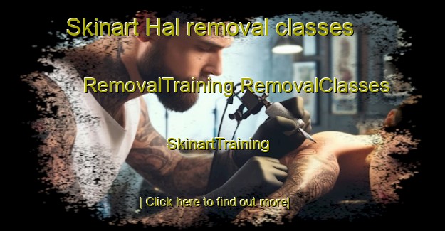 Skinart Hal removal classes | #RemovalTraining #RemovalClasses #SkinartTraining-Netherlands