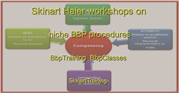 Skinart Haler workshops on niche BBP procedures | BbpTraining | BbpClasses | SkinartTraining-Netherlands