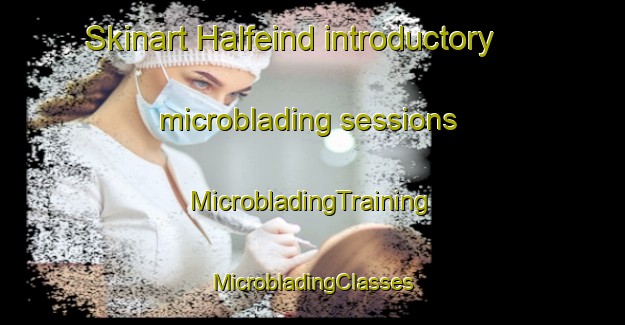 Skinart Halfeind introductory microblading sessions | #MicrobladingTraining #MicrobladingClasses #SkinartTraining-Netherlands