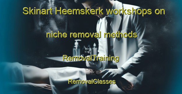 Skinart Heemskerk workshops on niche removal methods | RemovalTraining | RemovalClasses | SkinartTraining-Netherlands