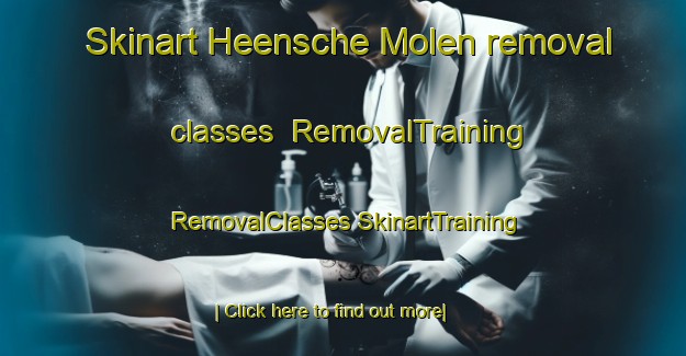 Skinart Heensche Molen removal classes | #RemovalTraining #RemovalClasses #SkinartTraining-Netherlands